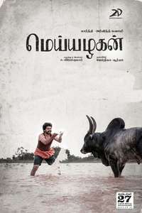 Meiyazhagan - Posters