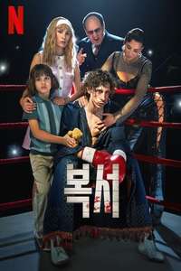Boxer - Posters