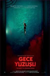 Night Swim - Posters