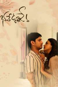Bhale Unnade - Posters