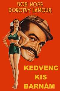 My Favorite Brunette - Posters