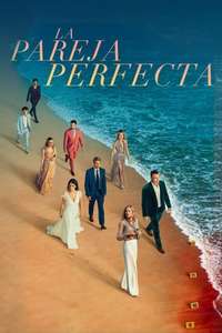 The Perfect Couple - Posters