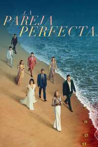 The Perfect Couple - Posters