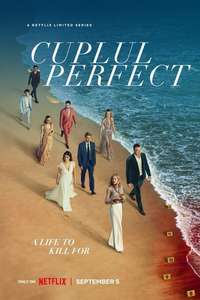 The Perfect Couple - Posters