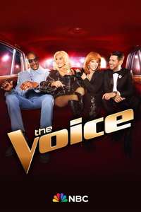 The Voice - Posters