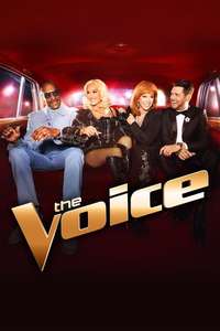 The Voice - Posters
