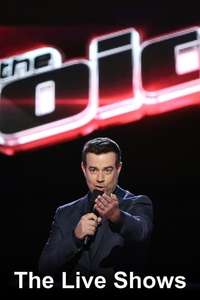 The Voice - Posters