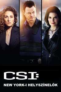 CSI: NY - Posters