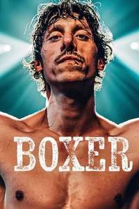 Boxer - Posters