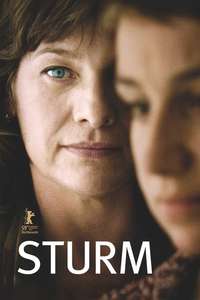 Storm - Posters