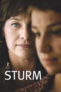 Storm - Posters