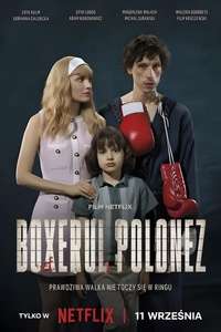 Boxer - Posters
