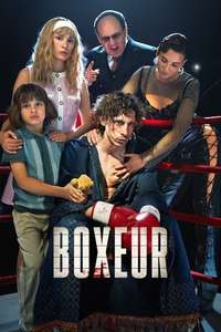 Boxer - Posters
