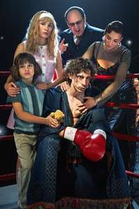 Boxer - Posters