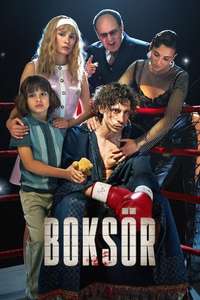 Boxer - Posters