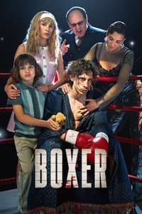 Boxer - Posters