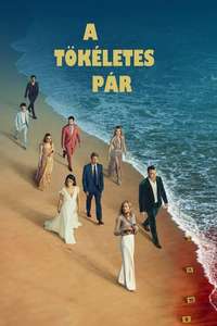 The Perfect Couple - Posters