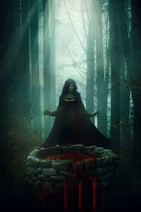 The Well - Posters