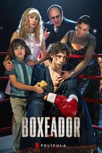 Boxer - Posters