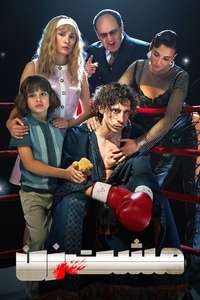 Boxer - Posters