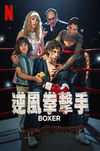 Boxer - Posters