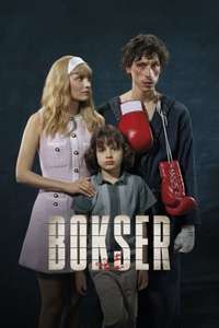 Boxer - Posters