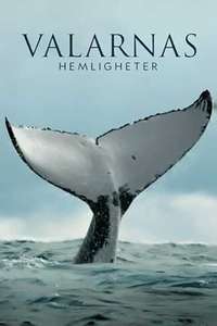 Secrets of the Whales - Posters