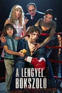 Boxer - Posters