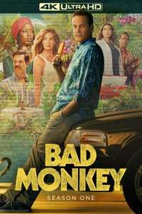 Bad Monkey - Posters