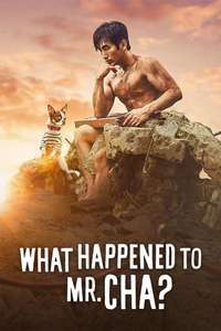 What Happened to Mr Cha? - Posters