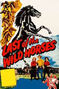 Last of the Wild Horses - Posters