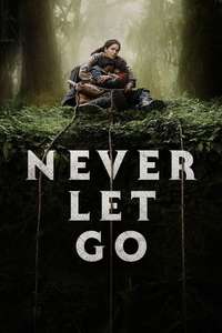 Never Let Go - Posters