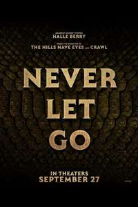 Never Let Go - Posters
