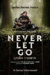 Never Let Go - Posters