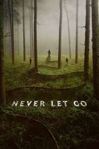 Never Let Go - Posters