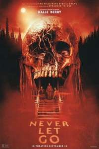 Never Let Go - Posters