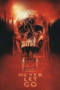 Never Let Go - Posters