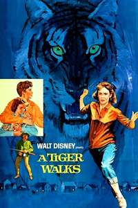 A Tiger Walks - Posters