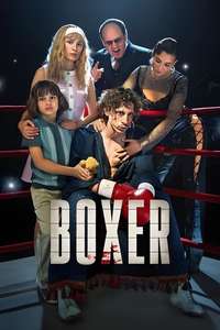 Boxer - Posters