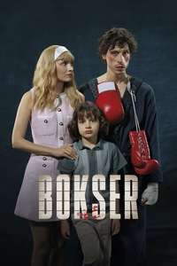 Boxer - Posters
