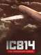IC 814: The Kandahar Hijack