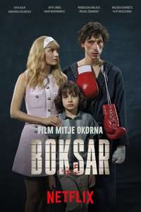Boxer - Posters