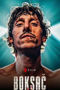 Boxer - Posters