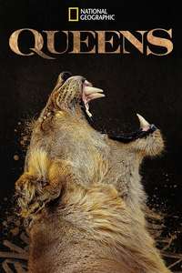 Queens - Posters