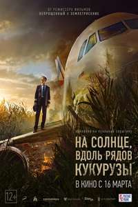 Emergency Landing - Posters