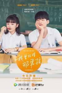 Remember My Boy - Posters