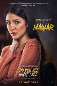 Do You See What I See - Posters