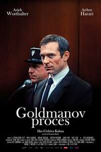 The Goldman Case - Posters