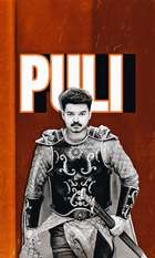 Puli