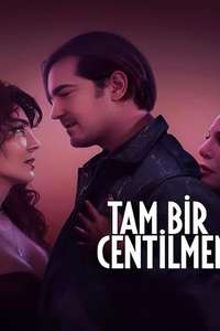A True Gentleman - Posters